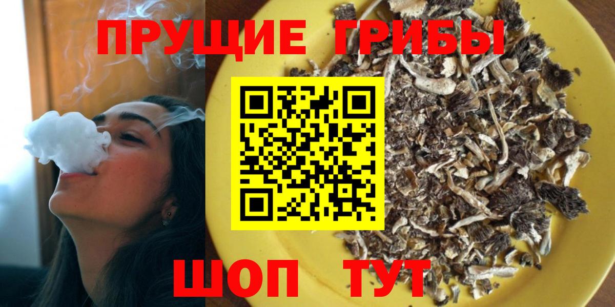 Санкт-Петербург  Галлюциногенные грибы ЛСД  Галлюциногенные грибы прущие грибы  Вход с VPN 